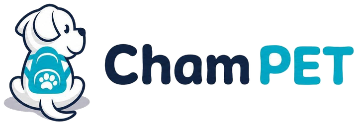 ChamPet — Where pets become heroes